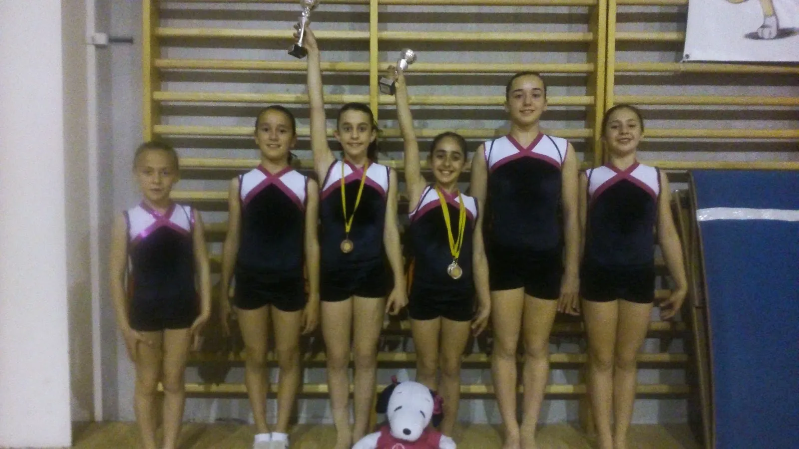 Club Gimnasia Artística Almazora — gimnasia-studio i Almassora — 5