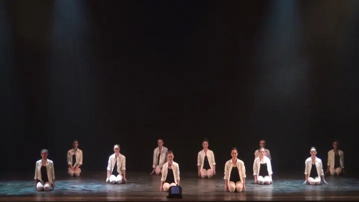 Association De Danse Classique Coppelia — danse-studio à La Vicairerie, Saint-Pierre-des-Corps — 2