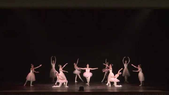 Association De Danse Classique Coppelia — danse-studio à La Vicairerie, Saint-Pierre-des-Corps — 3