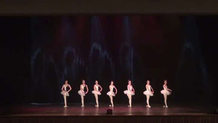 Association De Danse Classique Coppelia — danse-studio à Saint-Pierre-des-Corps — 5