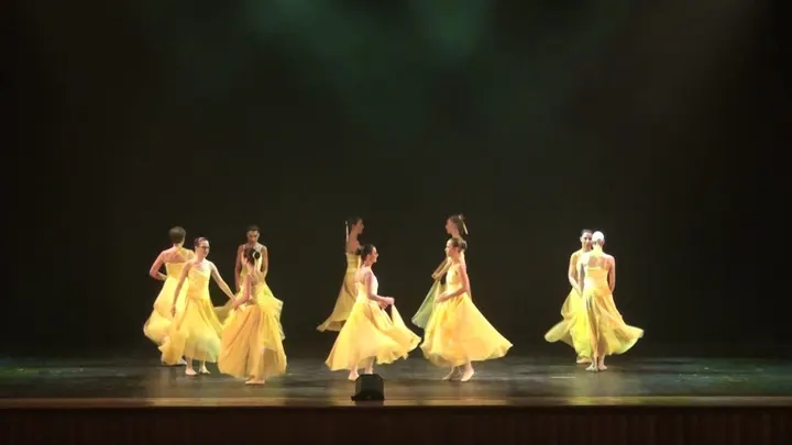 Association De Danse Classique Coppelia — Danse à La Vicairerie, Saint-Pierre-des-Corps