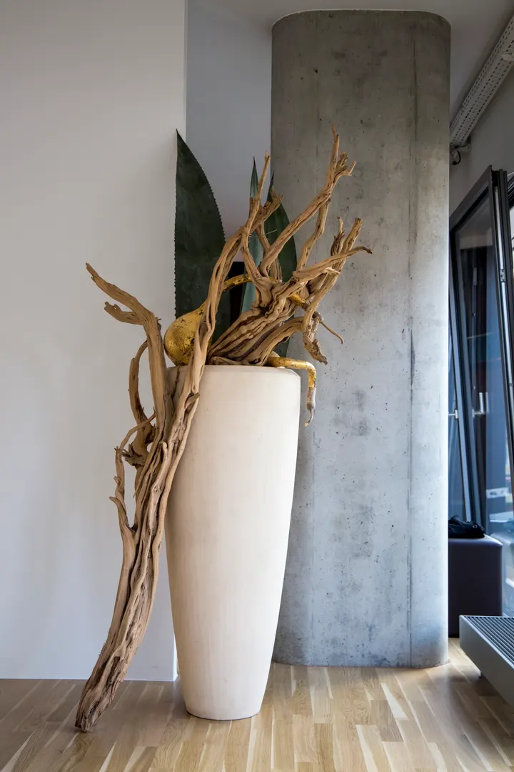 GoldenGround GbR — tanz-studio in Hamburg — 3