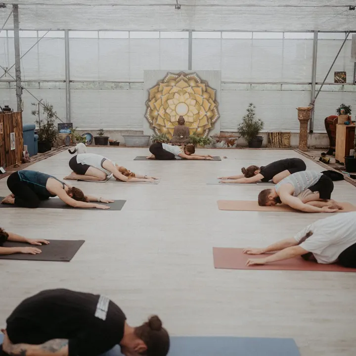Yoga with Bori — yoga-studio in Rietveld, Hazerswoude-Dorp — 3