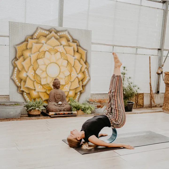 Yoga with Bori — yoga-studio in Hazerswoude-Dorp — 6