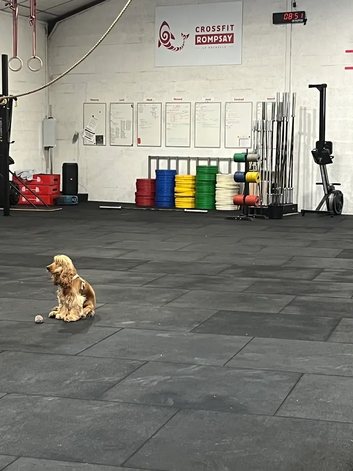Crossfit Rompsay — crossfit-studio à La Rochelle — 4