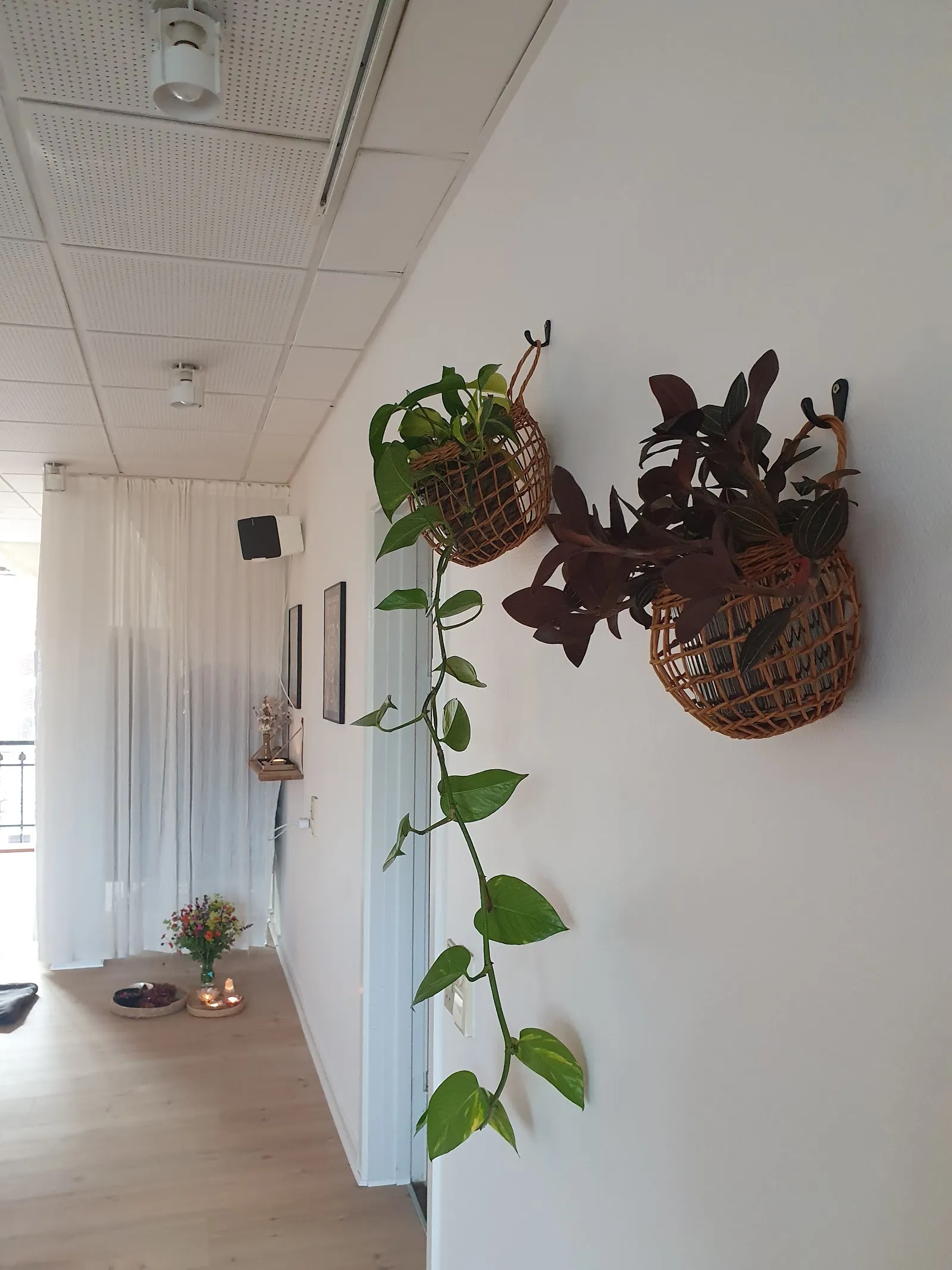 Vibes Yoga — yoga-studio i Holbæk — 3