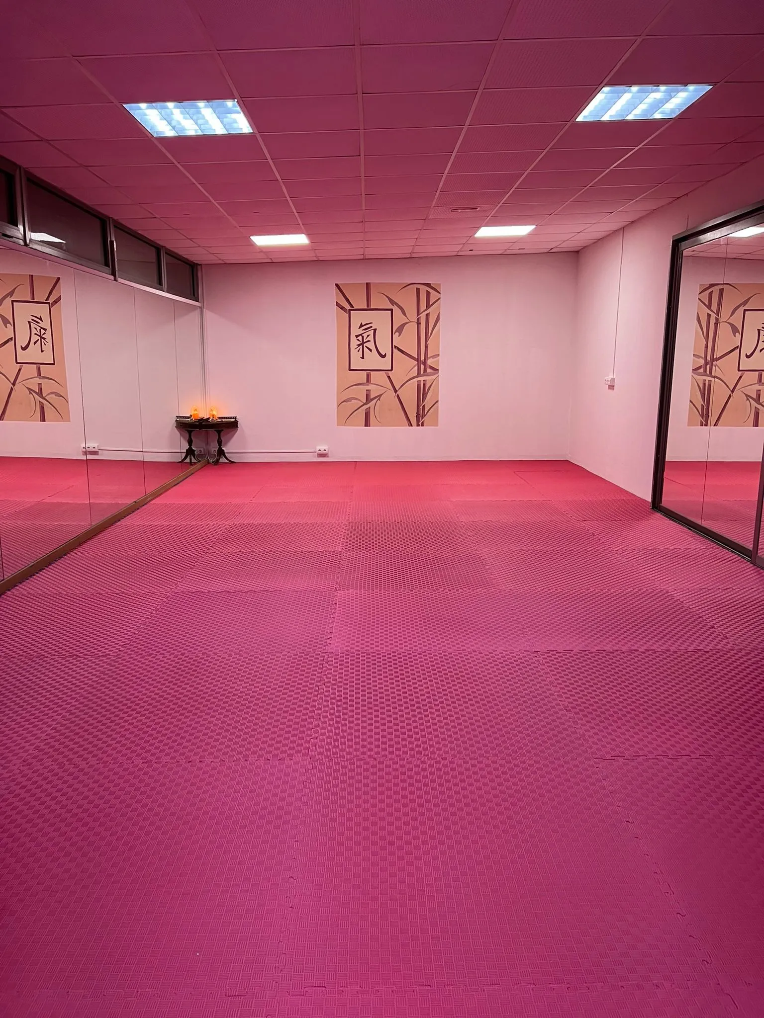 Budoka Ibiza — kickboxing-studio en Eivissa — 5