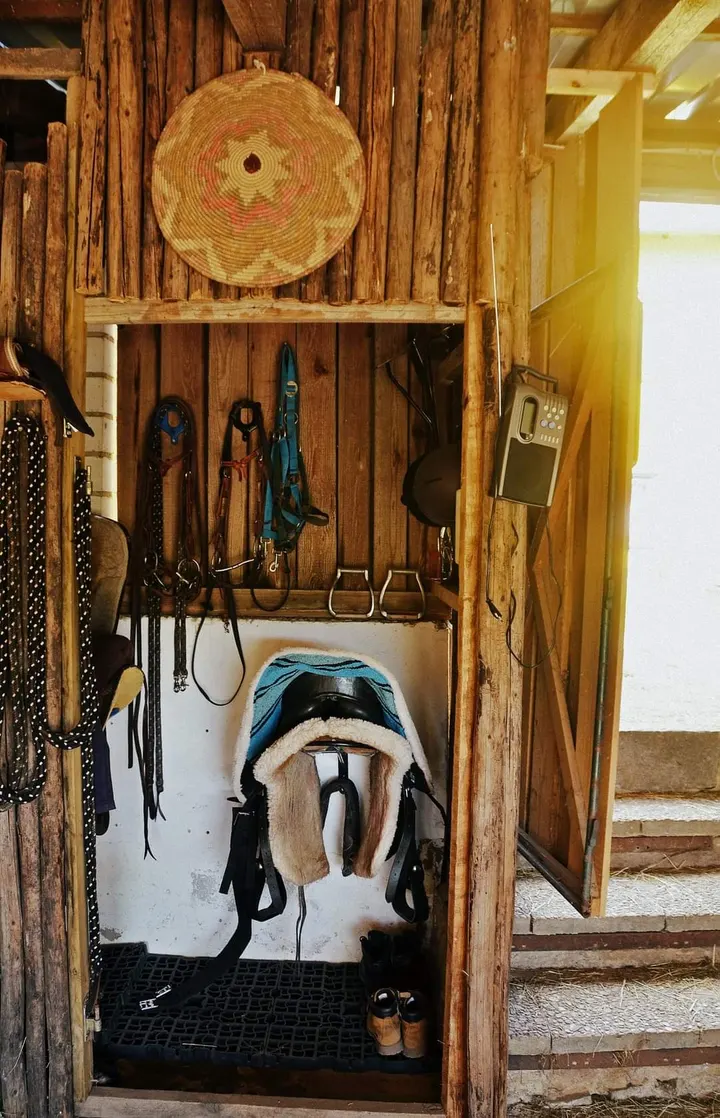 Zirkusschule Regensburg — turnen-studio in Regenstauf-Oberhaslach — 4