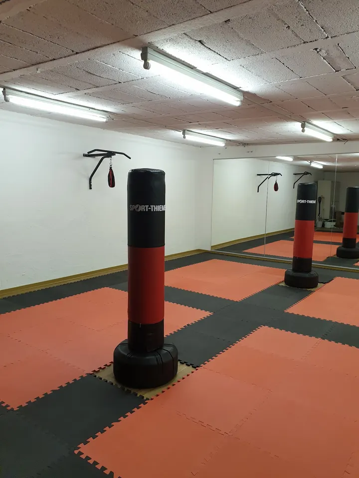 Snappy Kampfkunsttraining — Kampfsport in Ludwigshafen-Oggersheim, Ludwigshafen am Rhein