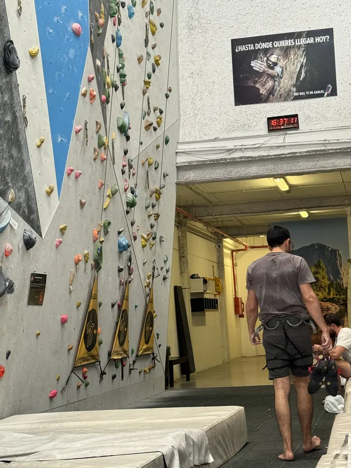 Climbing World Gran Canaria — escalada-studio en La Isleta, Las Palmas de Gran Canaria — 3