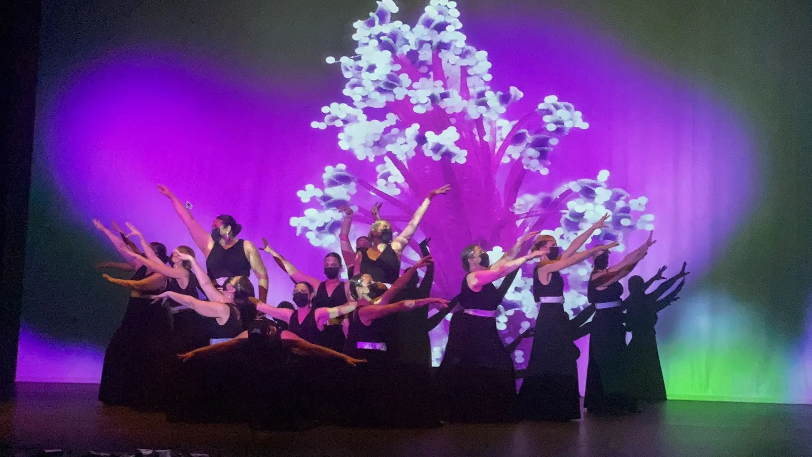 Escuela de Danza Vanessa Bóveda — baile-studio en Fuenlabrada — 5