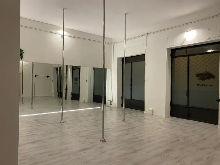 Reverse Studio ASD Pole — pole dance-studio a Vanchiglia, Torino — 3