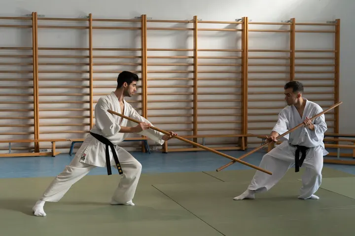 Escuela Satori — Artes marciales en Los Carteros, Sevilla