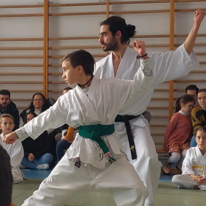 Escuela Satori — artes marciales-studio en Los Carteros, Sevilla — 3