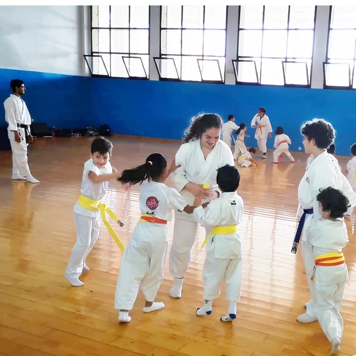 Escuela Satori — artes marciales-studio en Sevilla — 3