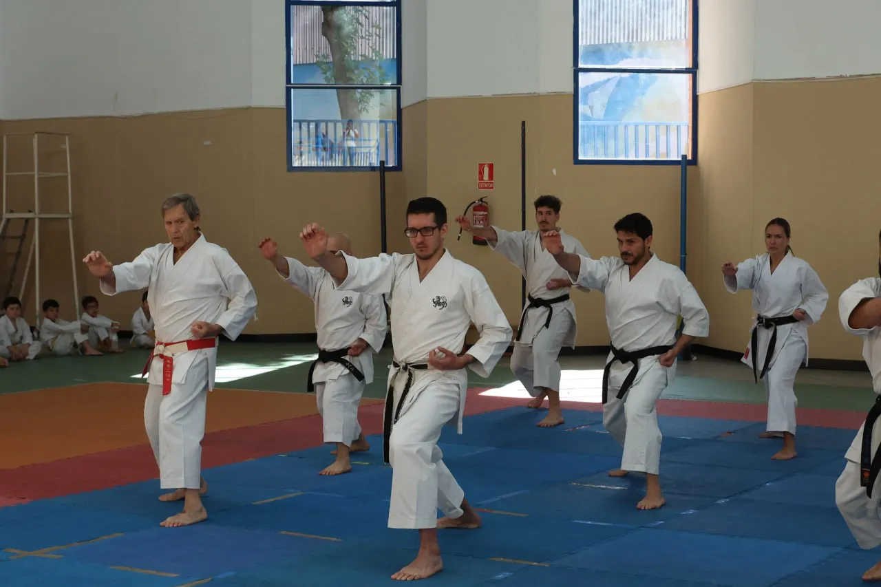 Teiko Karate Cáceres — kampsport-studio i Cáceres — bild 2