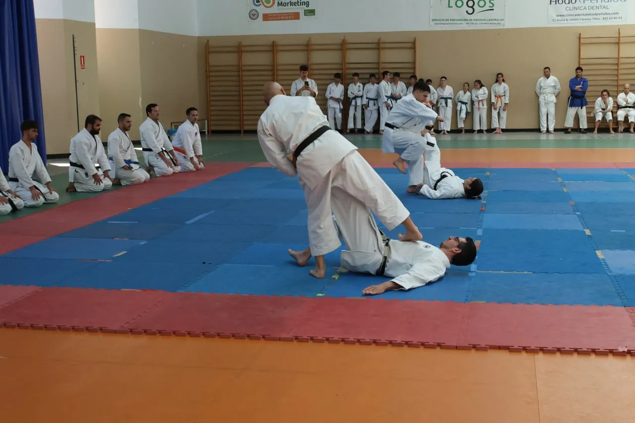 Teiko Karate Cáceres — kampsport-studio i Cáceres — bild 3