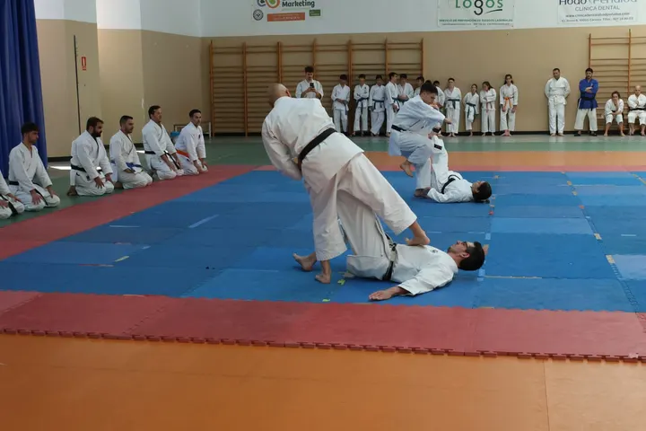Teiko Karate Cáceres — artes marciales-studio en Seminario, Cáceres — 3