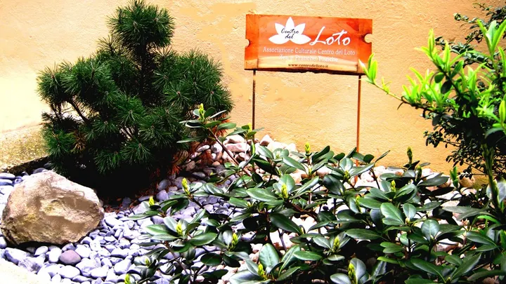 Centro del Loto — Yoga a Monte Sacro Alto, Roma