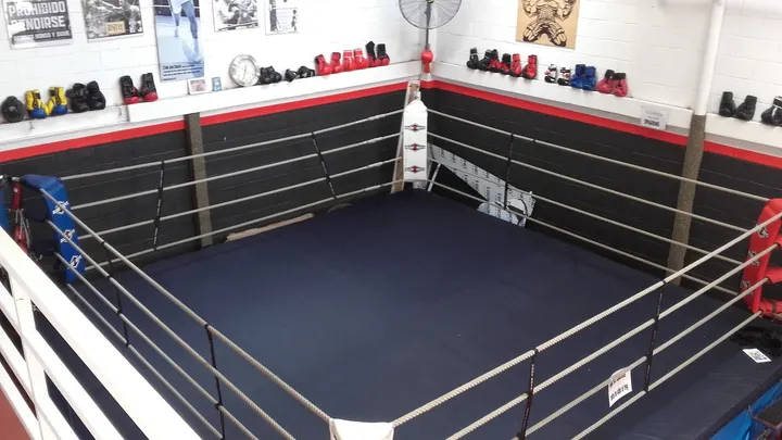 Club De Boxeo Toro's — artes marciales-studio en Las Albarizas, Marbella — 3