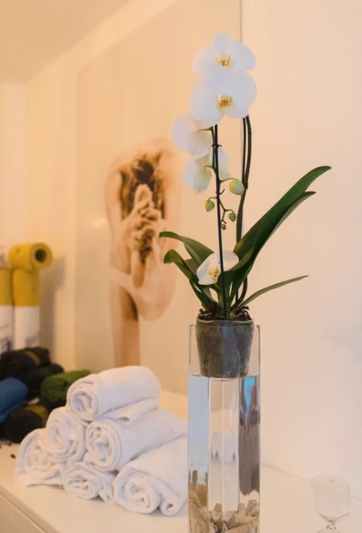 BIkram Yoga Zaragoza College Of India & Original Hot Yoga — yoga-studio en Zaragoza — 4