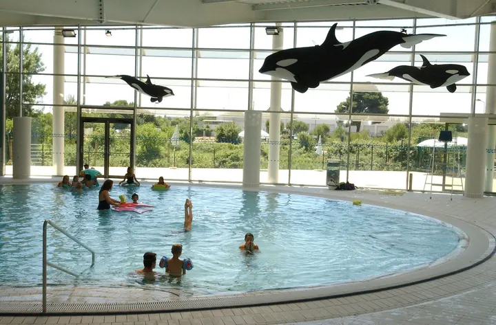 Piscine Amphitrite — studio à Montpellier — 5