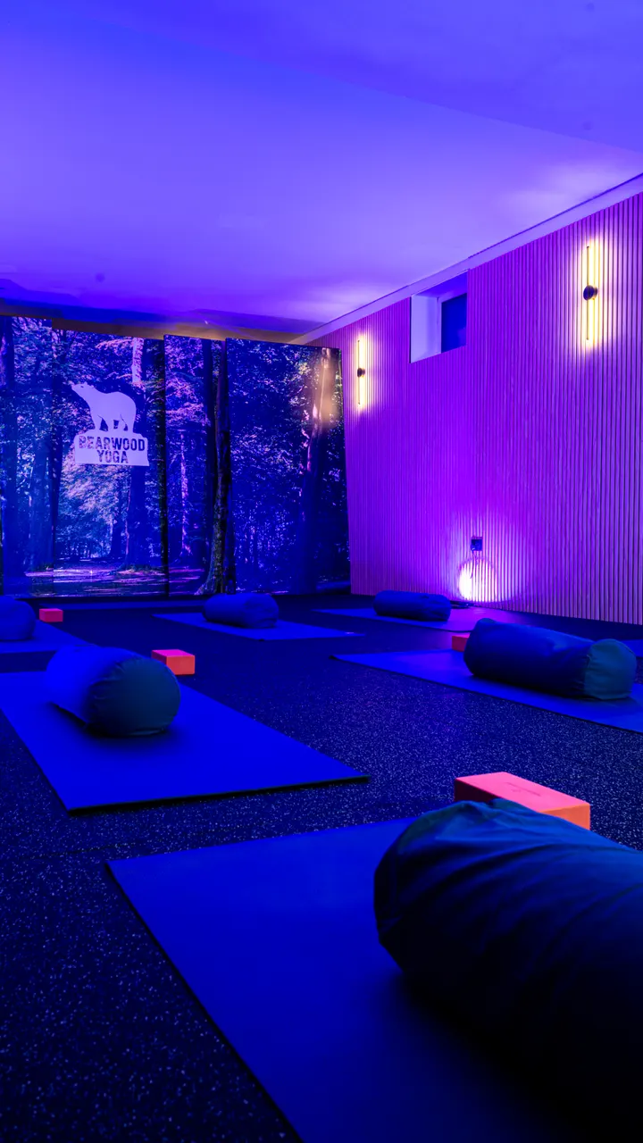 Bearwood Yoga - Birmingham — Fitness Studio in Jewellery Quarter, Birmingham