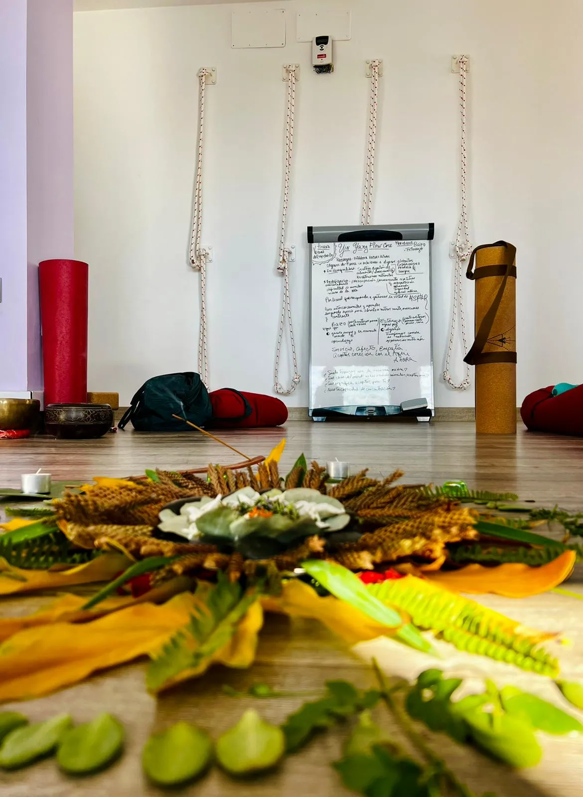 Dhyana Vayus Yoga - La Rinconada — yoga-studio en La Rinconada — 5