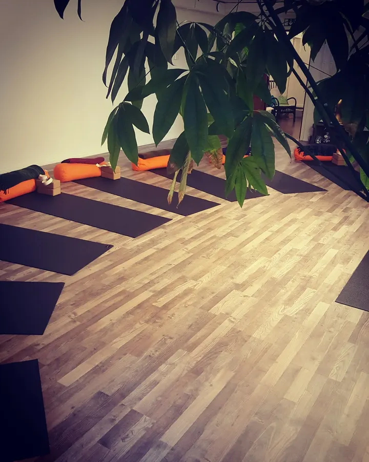 Hygge Yoga — fitness studio-studio i Altsarbyn, Rättvik
