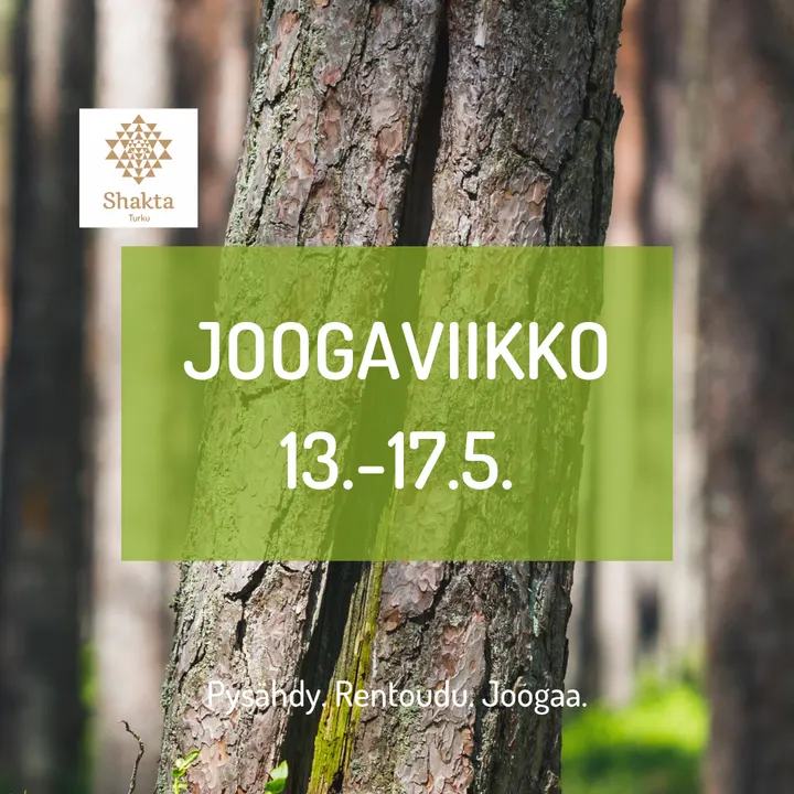 Shakta Joogakoulu Turku — Jooga – VIII, Turku
