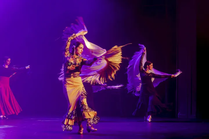 La Morena Flamenca — danse-studio à Lyon — 3