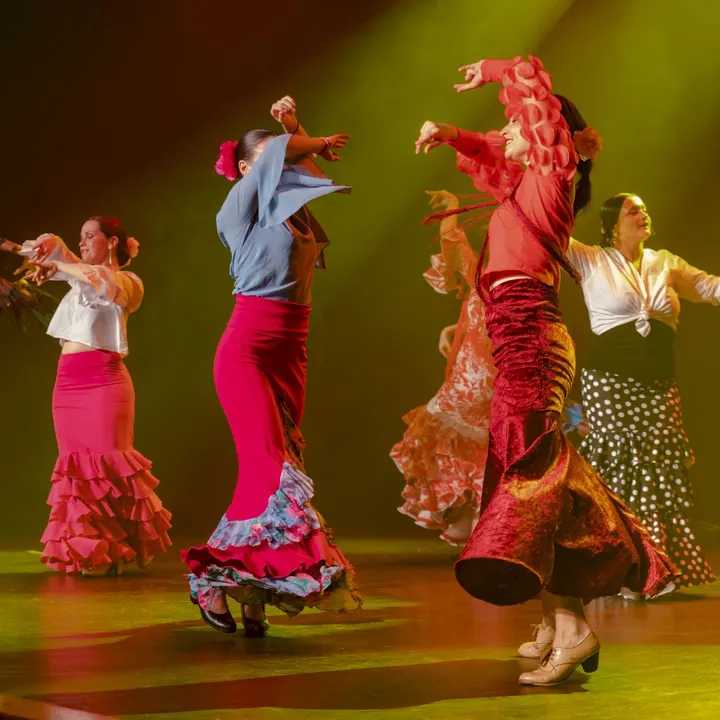 La Morena Flamenca — Danse à Terreaux, Lyon