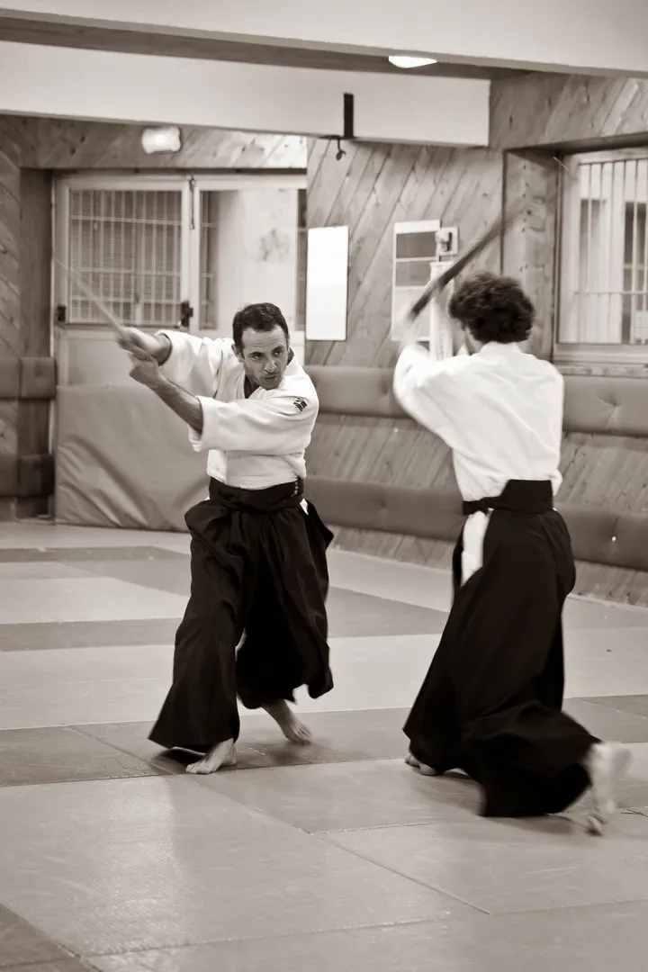 Aikido Besançon Kazoku — arts martiaux-studio à Parc des Chaprais, Besançon — 2