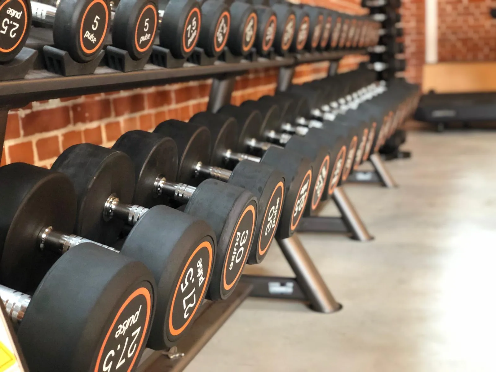 Fox Training Gartow — träningsstudio i Schwerin — 2