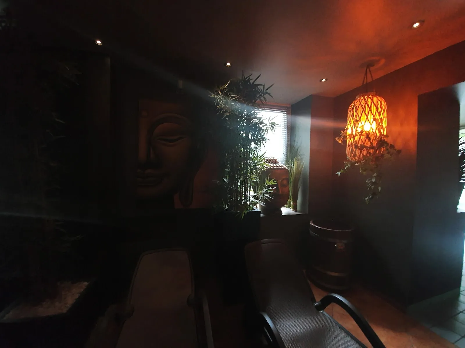 Phoenix Sauna — recovery-studio in Neustadt/Süd, Köln — 2