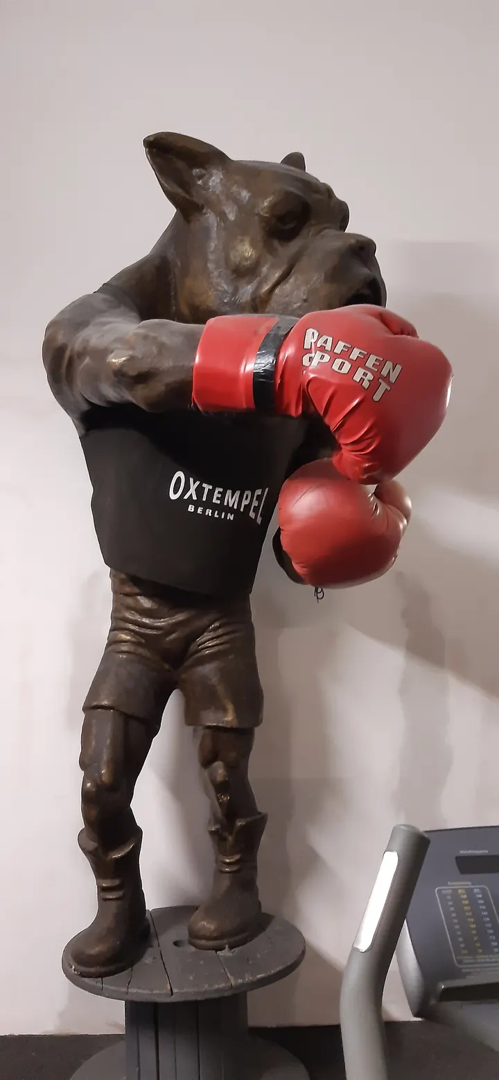 Boxtempel Berlin — kampfsport-studio in Berlin — 5