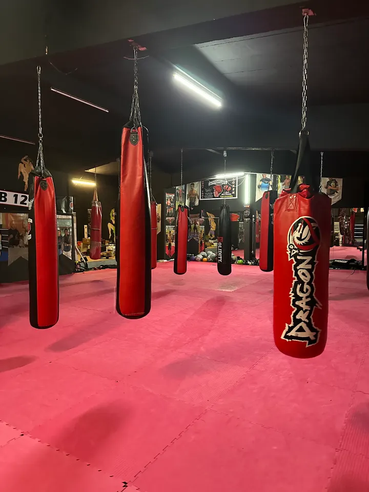 Leon Fightclub 12 Walle — Kampfsport in Walle, Bremen