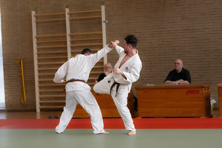 Zen-Ki-Budo Herne — bjj-studio in Röhlinghausen, Herne — 2