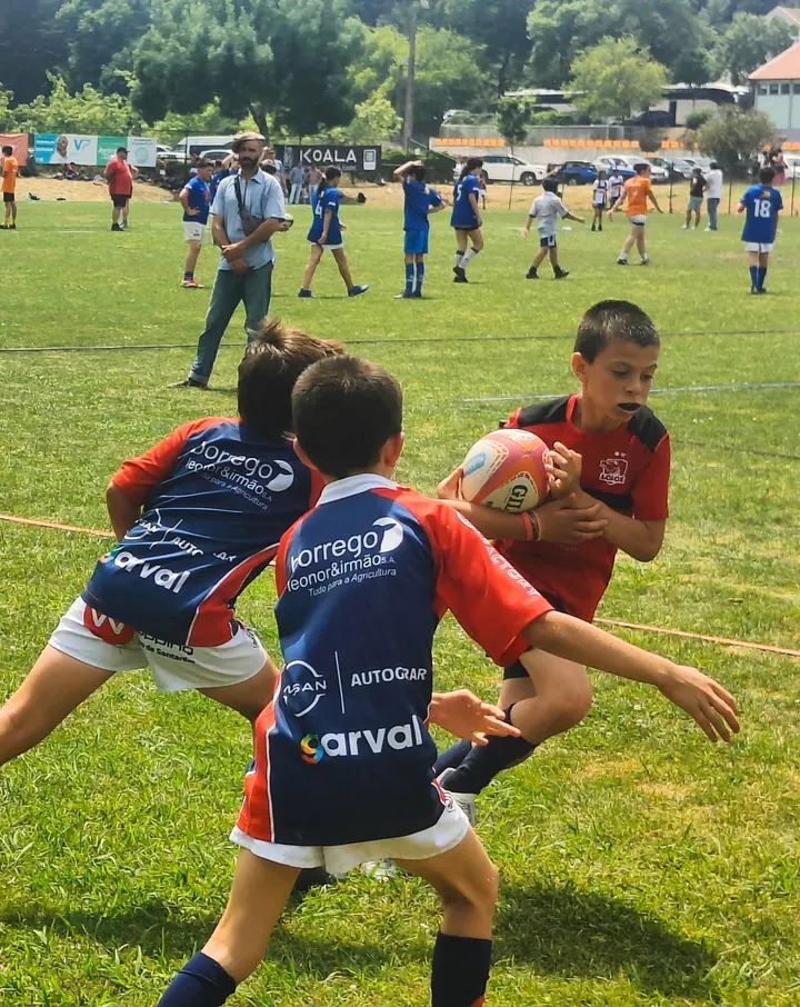 Lobos de Leiria Artes Marciais e Rugby — artes marciais-studio em Casal dos Matos, Leiria — 2