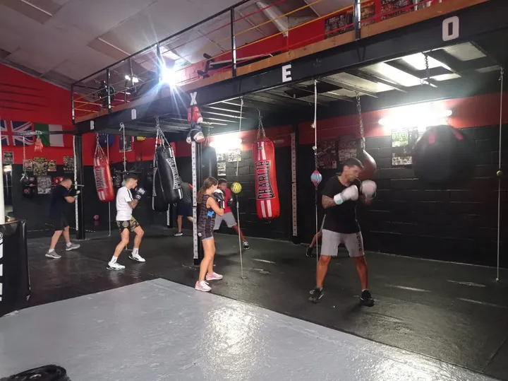 Club de Boxeo Pitbull Team (Sevilla) — artes marciales-studio en Distrito Norte, Sevilla — 2