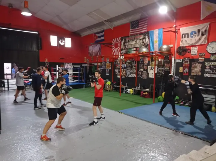 Club de Boxeo Pitbull Team (Sevilla) — Boxeo en Distrito Norte, Sevilla