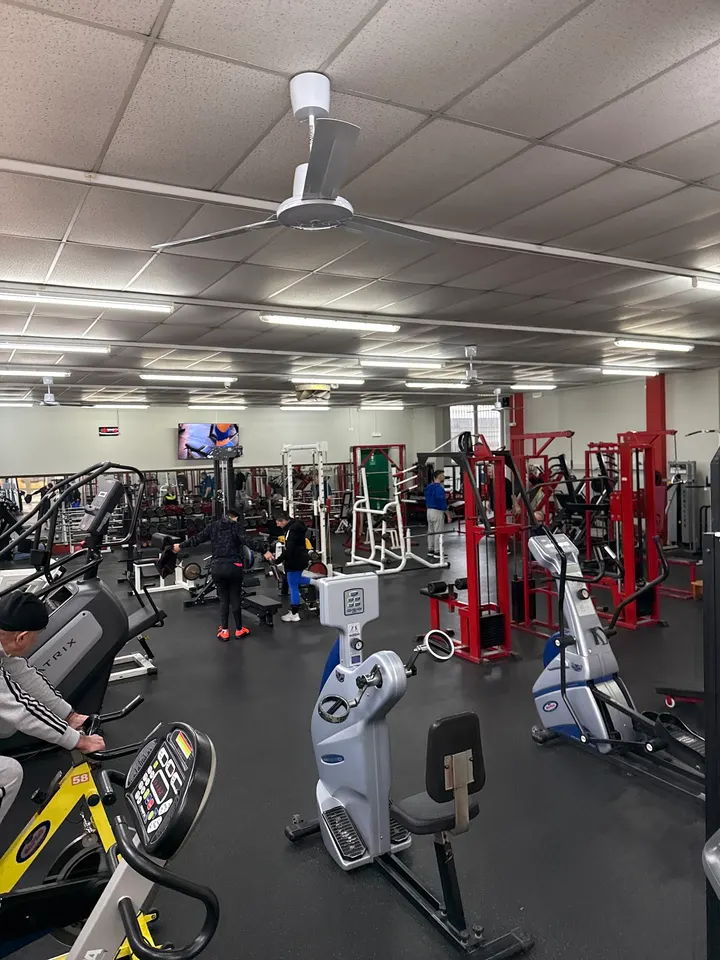Palestra 5 Anelli — palestre-studio a Suzzara — 3