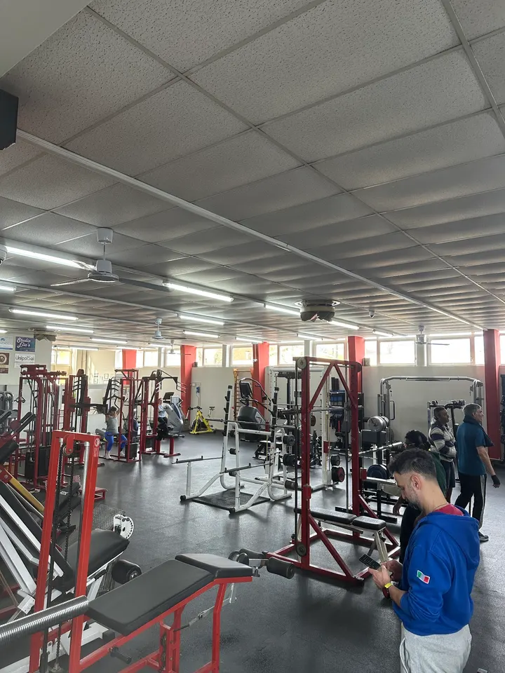 Palestra 5 Anelli — palestre-studio a Suzzara — 4