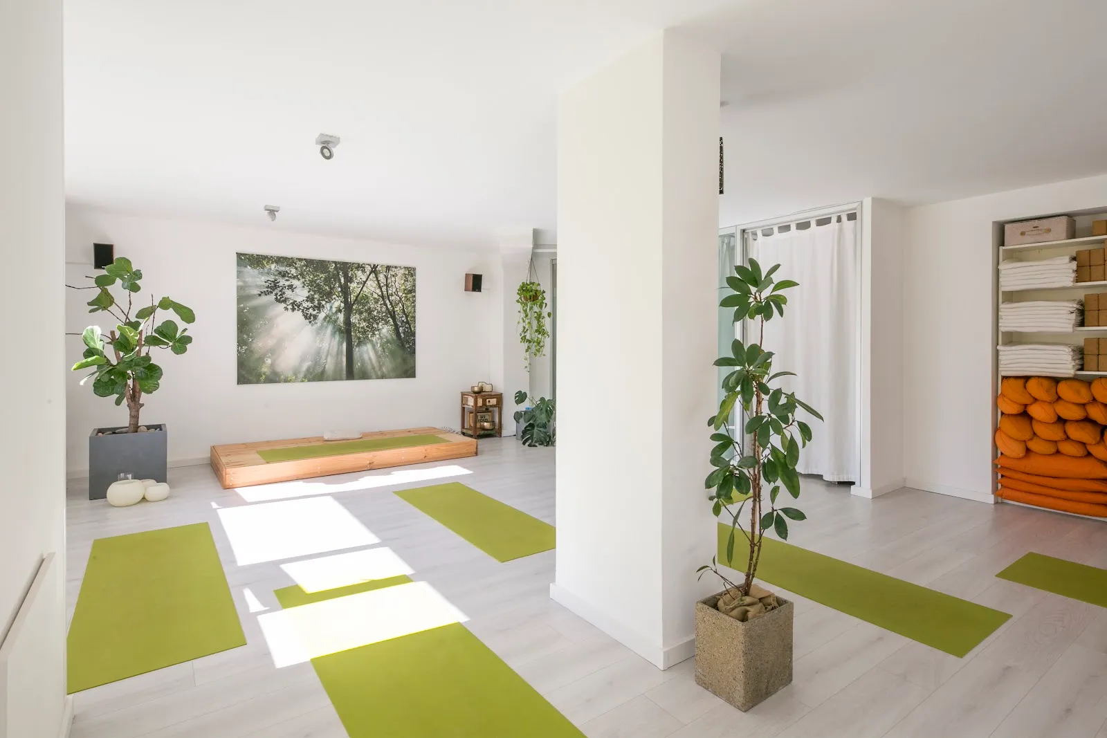 Yoga Ecuanime — yoga-studio en les Corts, Barcelona — 2
