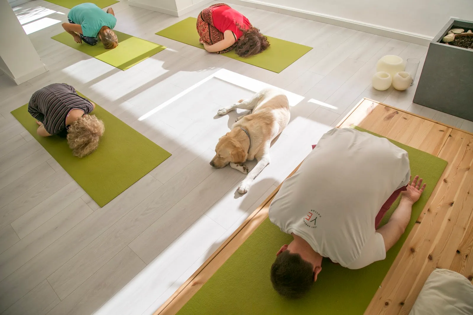 Yoga Ecuanime — yoga-studio en les Corts, Barcelona — 3