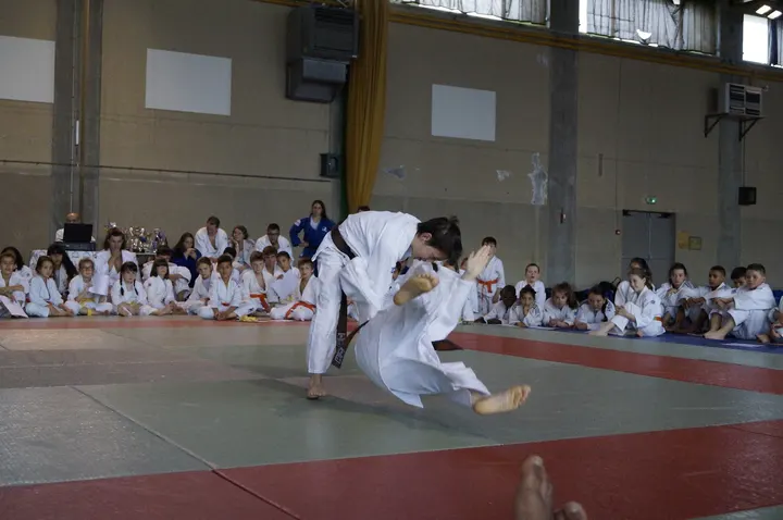 JA ISLE BOSMIE JUDO — Arts martiaux aux Roches, Isle