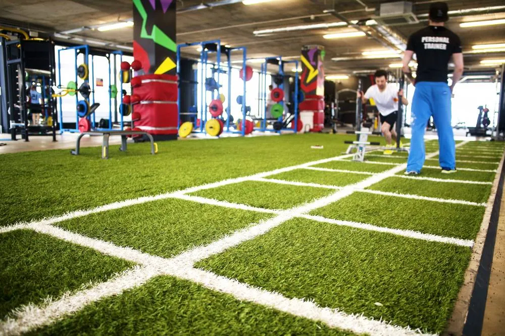 Gimnasio San Gabriel Fitness y Boxeo — estudio de fitness-studio en Alicante — 2