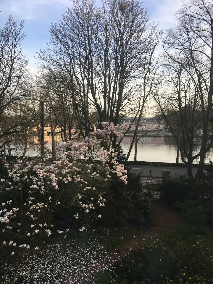 YOGA PEACE — yoga-studio in Benrath, Düsseldorf — 3