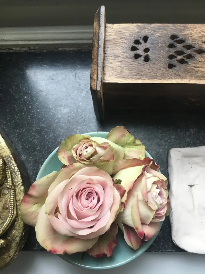 YOGA PEACE — yoga-studio in Düsseldorf — 5