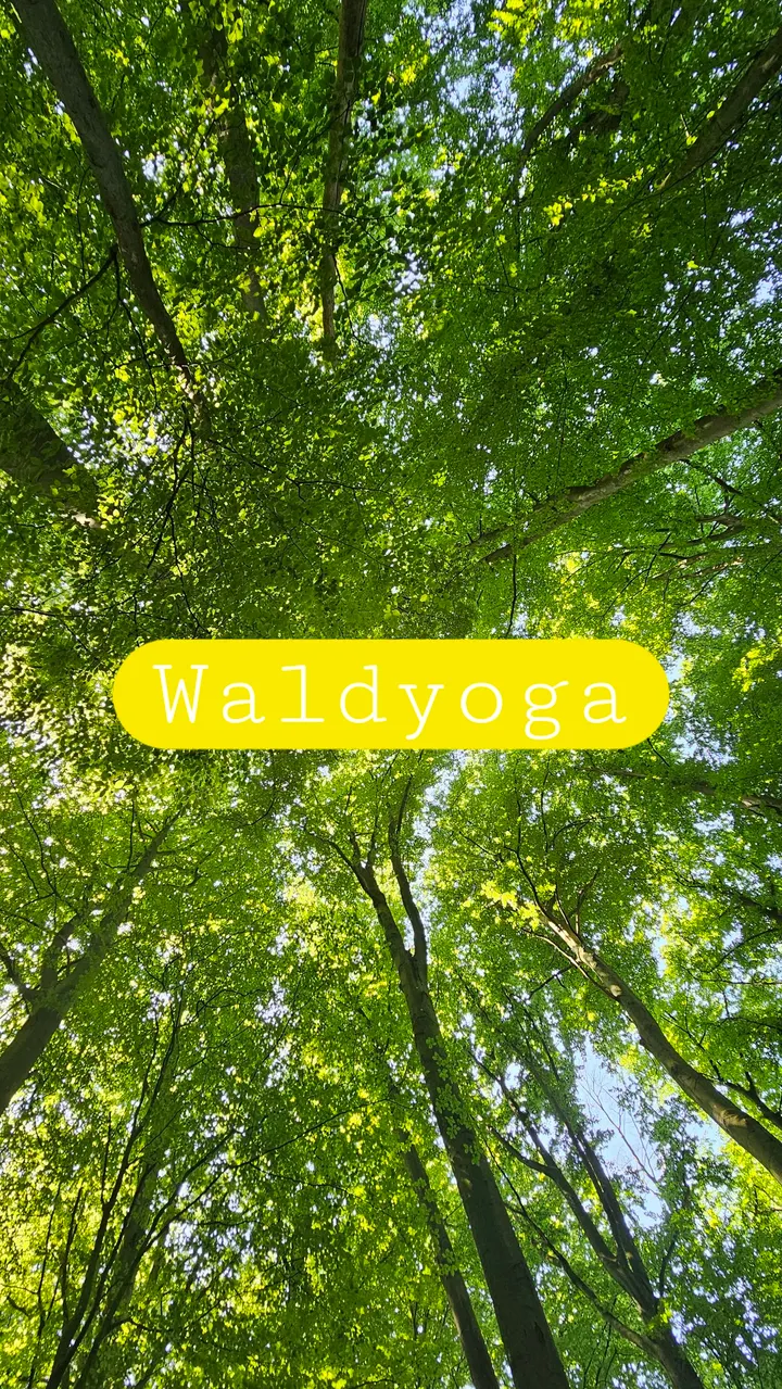 Nadine Köstler Yoga & so — yoga-studio in Ohligs/Aufderhöhe/Merscheid, Solingen — 3